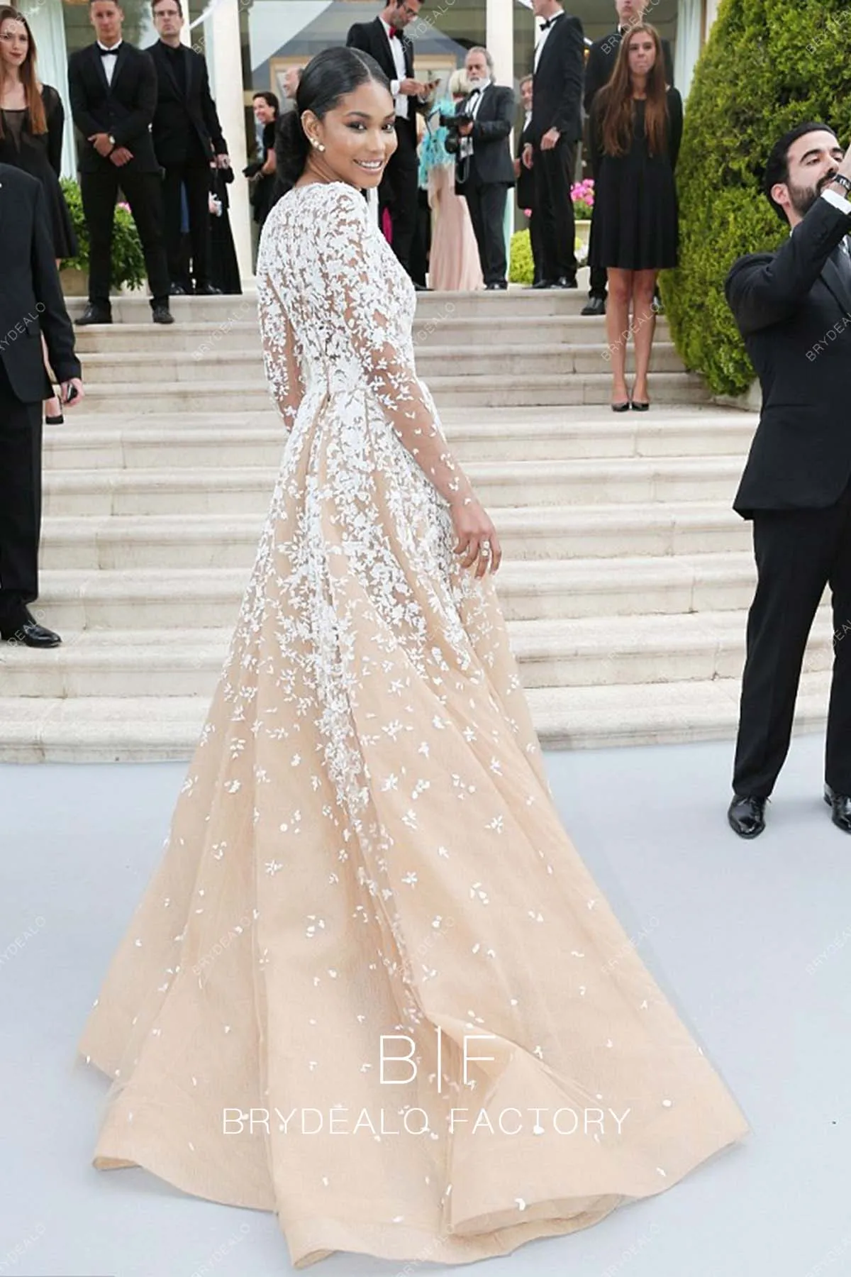 Chanel Iman Glamorous Lace Champagne Plunging Ball Gown Cannes 2015