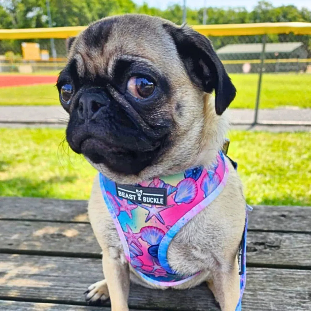 Just Beachy Harness & Leash Set - CLEARANCE