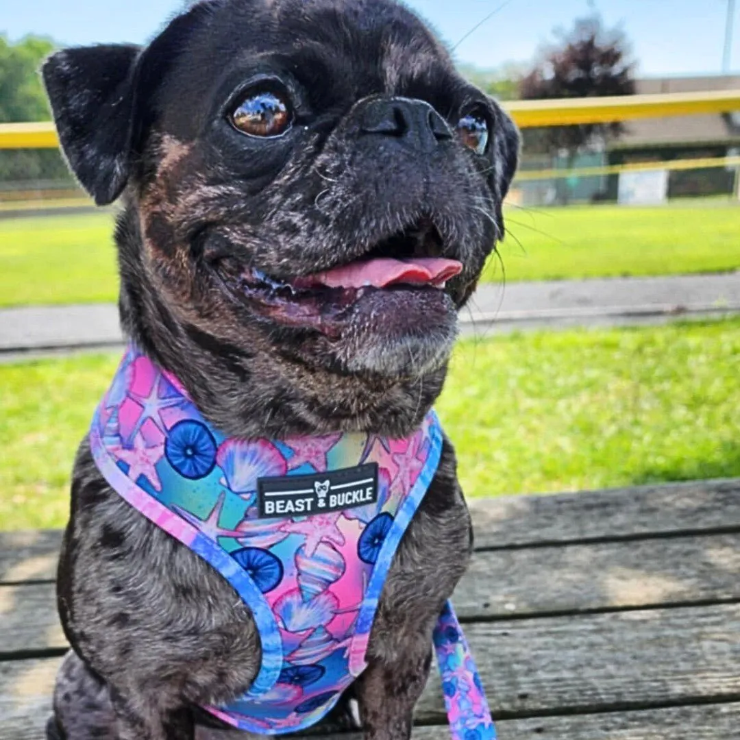Just Beachy Harness & Leash Set - CLEARANCE