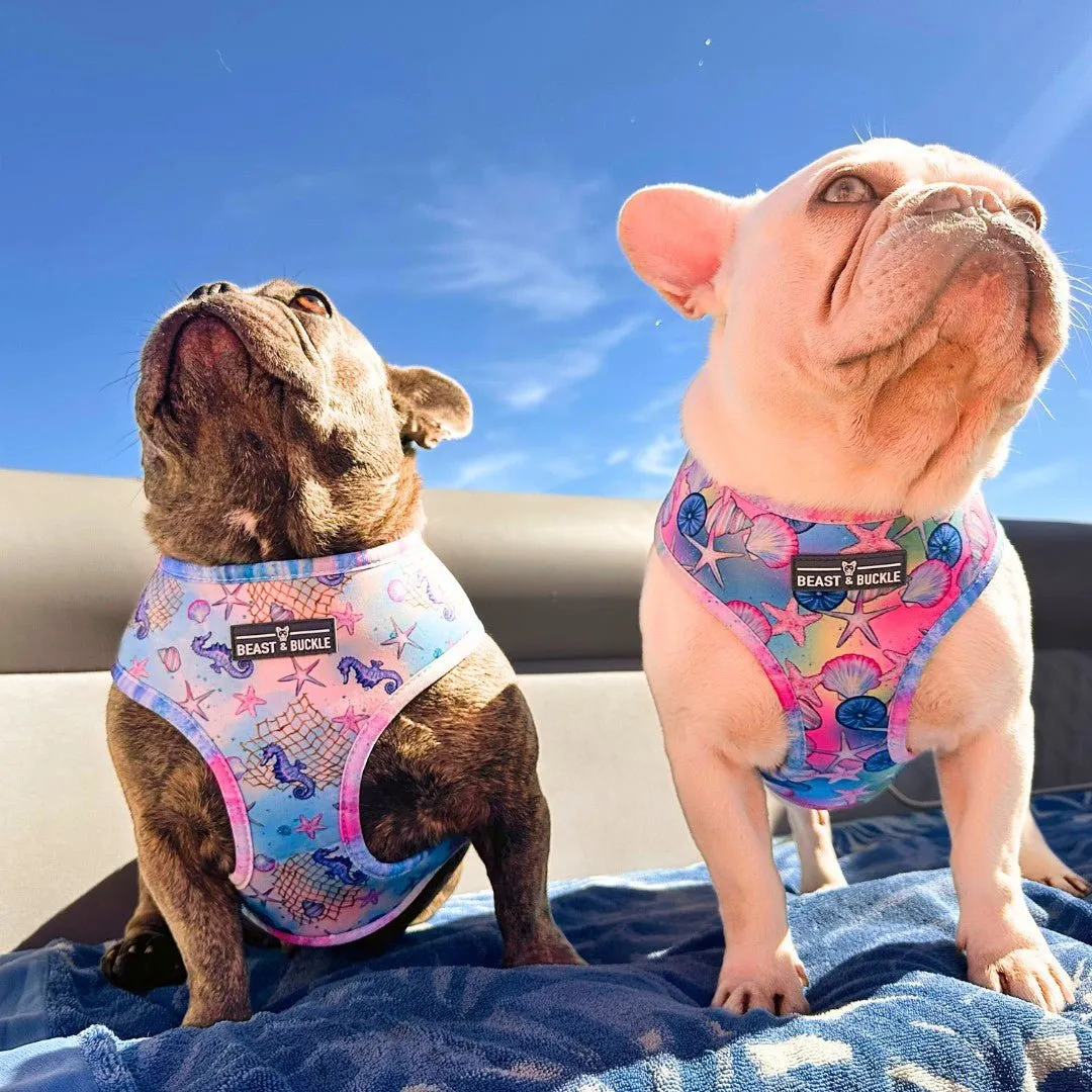 Just Beachy Harness & Leash Set - CLEARANCE