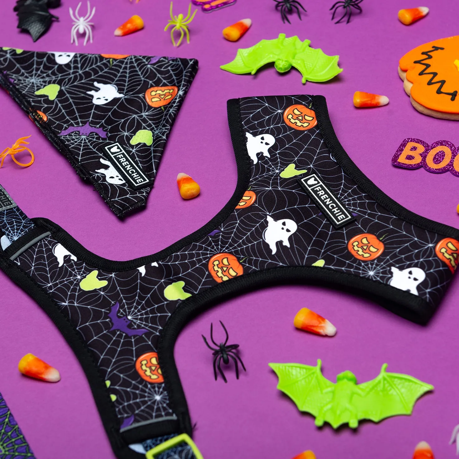 Matching Set- Frenchie Duo Reversible Harness and Comfort Leash- Trick or Treat