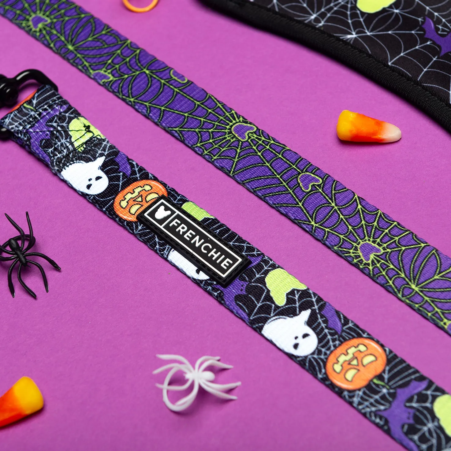 Matching Set- Frenchie Duo Reversible Harness and Comfort Leash- Trick or Treat