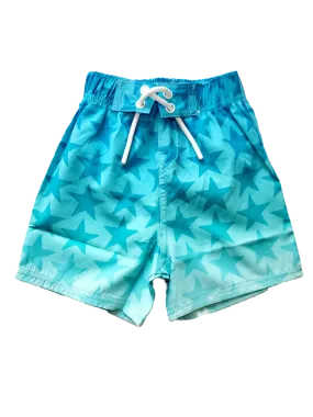 Mish Mish Gradient Stars Board Short