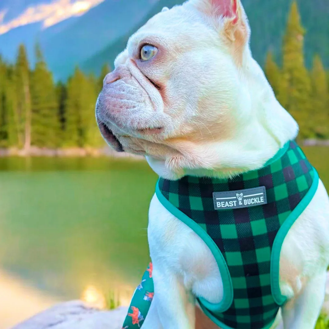 Moose Harness & Leash Set